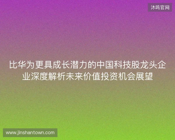 比华为更具成长潜力的中国科技股龙头企业深度解析未来价值投资机会展望