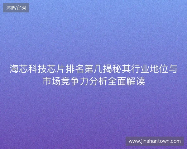 海芯科技芯片排名第几揭秘其行业地位与市场竞争力分析全面解读