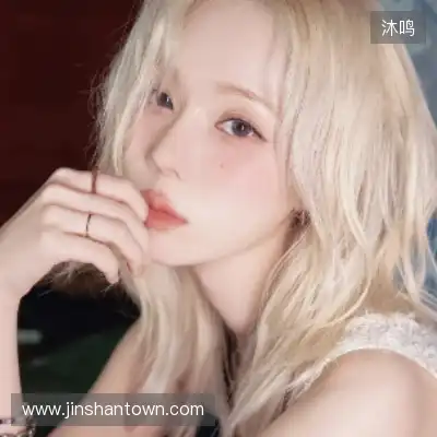 丁震